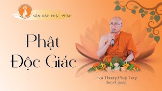 VĐPP  - Phật độc giác - HT Pháp Tông thuyết giảng