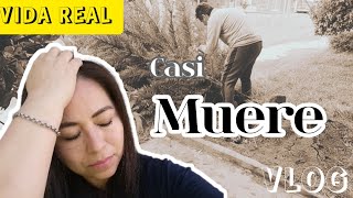 Casi LO PERDEMOS 😰 Se  cayó nuestro arbol‼️VLOG Vida Cotidiana en Argentina