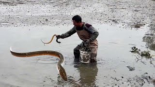 The owner of the fish pond asked Kangwa to help catch eels