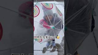 2024年1月9日　雪❄️風が強いせいか？元気が今ひとつ🤔