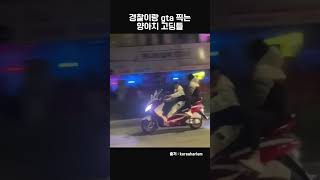 경찰이랑 gta 찍는 양아치 고딩들 #shorts #자동차