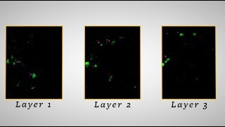 Activating brain cells with holography