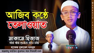 আজিব কন্ঠে তেলাওয়াত || মাকামে হিজাজ সুরে তেলাওয়াত || হাফেজ নুফায়েল মাহমুদ || Best Quran recitation