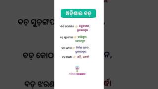 ଓଡ଼ିଆ ସାଧାରଣ ଜ୍ଞାନ | Odisha GK GS Questions I Odia general knowledge #viral #trendinggk