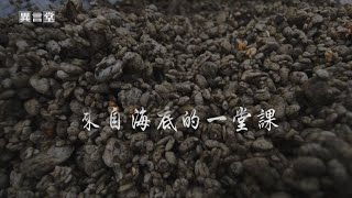 【民視異言堂】來自海底的一堂課