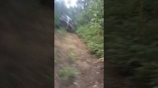 Toyota falls in Sink Hole (Sly Creek)