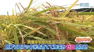 角館中学校の生徒による『脱プラスチック米を育てて海ごみゼロ宣言❗稲刈り編』