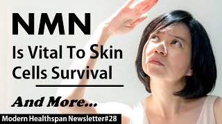 NMN Vital For Skin Survival | NMN vs. NAM As NAD Boosters | Carbs Dont Affect Weight Regain | NS#28