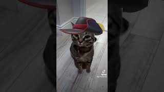 The real puss in boots 🐱