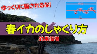 春エギング攻略！ゆっくりに騙されるな！春イカ狙いのしゃくり方伝授！プロから学ぶエギング講座