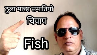 एक्सनपछी ठुला माछा समातियो भाग्दा भाग्दै चियाप समातियो || today fresh fish