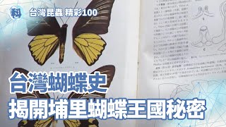 台灣蝴蝶史 揭開埔里蝴蝶王國秘密【昆蟲世界】＿ EP02