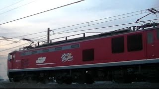 ﾚｯﾄﾞｻﾝﾀﾞｰEF510-8牽引　高速貨物4059ﾚ　大阪→新潟