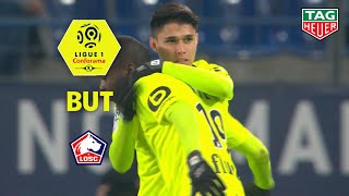 But Luiz ARAUJO (90' +3) / SM Caen - LOSC (1-3)  (SMC-LOSC)/ 2018-19