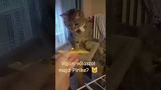 Pirike a cuki nézzétek meg milyen édes.