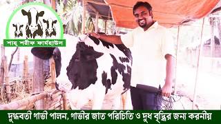 দুগ্ধবতী গাভী পালন,গাভীর জাত পরিচিতি ও গাভীর দুধ বৃদ্ধির নানান উপায়।\