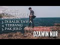 5 LAGU DZAWIN NUR TERBAIK | ENAK DIDENGAR