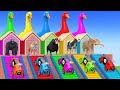 5 Giant Duck, Cow, Elephant, Ferdinand, Tiger, Gorilla, Transfiguration funny animal 2024