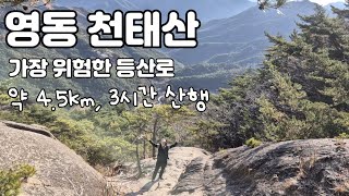 [영동 천태산] 약 4.5km, 3시간 산행 / A코스-D코스 원점회귀 / 충북의 가장 위험한 등산로 /