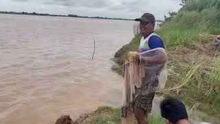 រដូវវស្សា ទឹកឡើង ត្រីច្រើន (តោះជួបជាមួយបងប្រុស បង់សំណាញ់ ចាប់ត្រី)