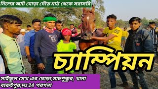 চ্যাম্পিয়ন সাইফুল সেখ এর ঘোড়া। ঢোলাহাট থানার অন্তগত- নিলের আট থেকে। referee s jamadar live