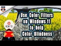 How to Enable and Use Color Filters on Windows 11 built-in color filters to help color blindness