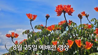 바기오 행복한교회 2024.08.25 예배전 영상