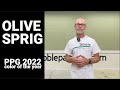 Olive Sprig - PPG 2022 Color of the Year | PPG1125-4