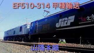 山陽本線EF510-314　甲種輸送　2024-08-27