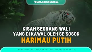 Kisah Harimau Keramat dan Seorang Wali Alloh S.W.T - Dikisahkan oleh Gus Baha