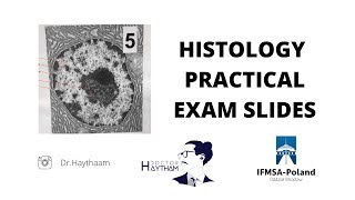 HISTOLOGY PRACTICAL EXAM SLIDES | WROCLAW MEDICAL UNIVERSITY | MEDICINE + DENTISTRY