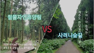 제주도 한달살이 14일차 절물자연휴양림 VS 사려니숲길