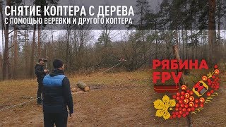 Снятие квадрокоптера с макушки сосны с помощью другого и веревки