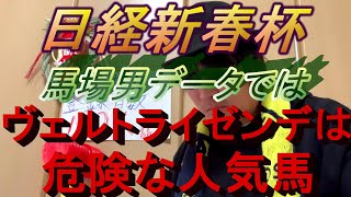 【日経新春杯】危険なにおいがプ～ンプン！俺のデータではヴェルトライゼンデはかなり危険！