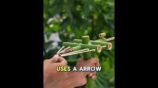 Natural Bamboo Slingshots!!! 🎍🎍🎍