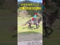 游客偶遇骑马少年，真的太酷了 骑马 tourists encounter riding teenagers it s really cool