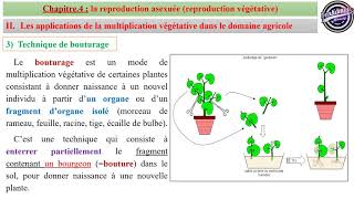 CHapitre.4_Partie.2 : La Multiplication Végétative Artificielle = agriculture (Tron Commun Sciences)