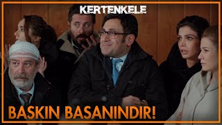 Ortalık karışıyor! - Kertenkele