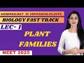 PLANT FAMILIES/ BIOLOGY FAST TRACK/ NEET 2025/ PANKHURI MIGLANI