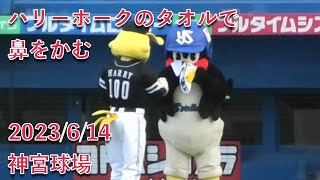 つば九郎、ハリーホークのタオルで鼻をかむw 謎のダンスとのコンボ 2023/6/14