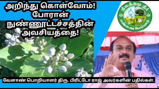 போரான் நுண்ணூட்டச் சத்து என்றால் என்ன? What is Boron? | Mr.X. Brittoraj