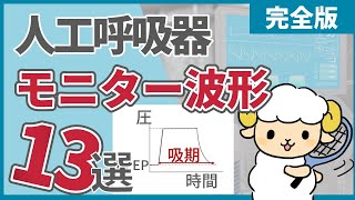 人工呼吸器のモニター波形13選【全部知っていたら人工呼吸器マスター】