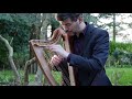 harpist in a tree episode one