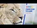 Hugo Beginner Tutorial — #6 Hugo Data Files