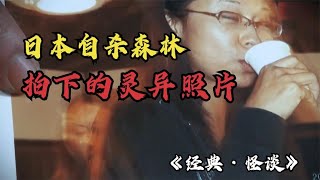 日本自殺森林真的存在詛咒？靈異照片背後又有什麽秘密？