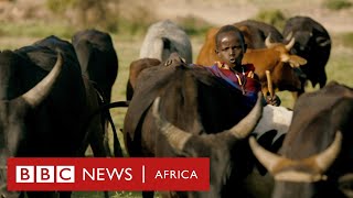 Cattle, Crops and Iron - History Of Africa with Zeinab Badawi [Episode 2]