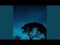 Starblind (feat. Second Verse)
