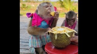 Surprise yaya jackfruit preparing by Mom