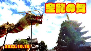 ３年の時を経て、金龍よ空へ。　浅草寺金龍の舞　2022年10月18日【浅草中屋歳時記】