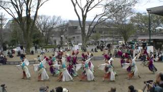 「浪花乱風」　京都さくよさ2016